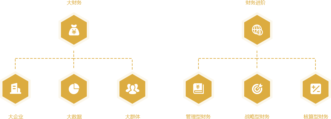 理臣財(cái)稅咨詢大財(cái)務(wù)官