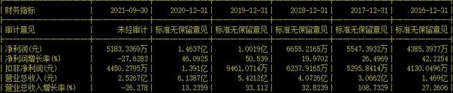 上市公司財務(wù)分析(分析上市公司的主要財務(wù)指標)