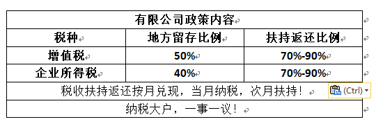 企業(yè)稅收籌劃(企業(yè)納稅實務(wù)與稅收籌劃全攻略)(圖5)