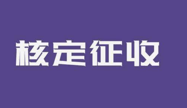 企業(yè)稅收籌劃方案(籌劃方案)(圖4)