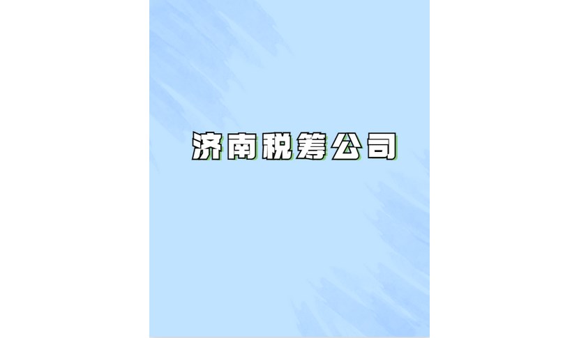 山東省泰山市電商公司稅務(wù)籌劃網(wǎng)上服務(wù)平臺