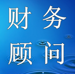 常年財(cái)務(wù)顧問(wèn)資料