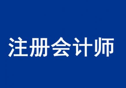 常年財務顧問納入哪個科目